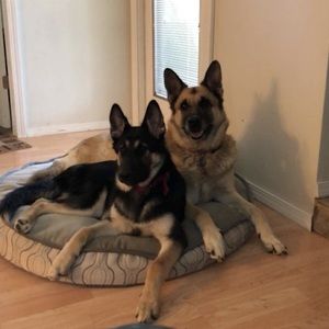 Meet your Posher, Maddy